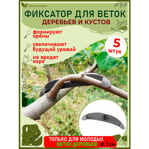������ ������ OlLena Garden / �������� ��� ����� ��������, ��� �������� ����� ��������, �������� ��� ��������, ����� ����
