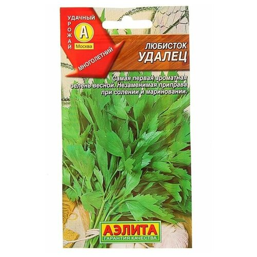 ������ ������ ������ �������� 