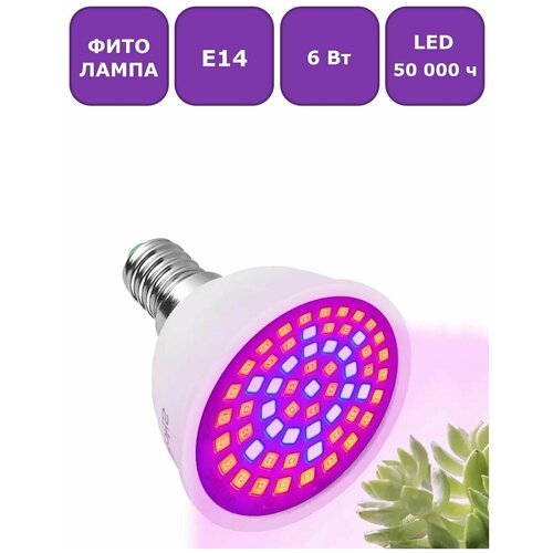 ������ ������ ������������ ��������� (����� ��� ��������) Maple Lamp PhytoLED, �14, 6 ��, ���. LED-E14-6W-Flora ����