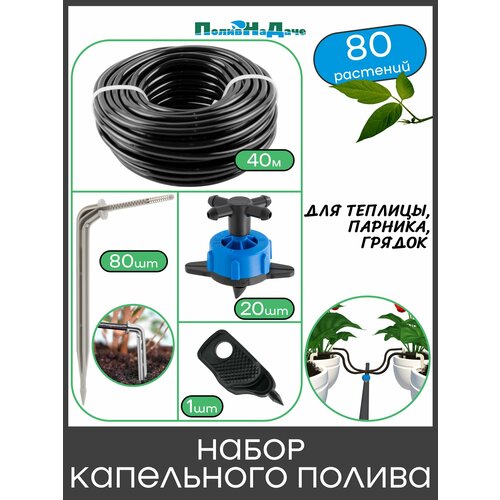 ������ ������ ����� ���������� ������ �� 80 �������� ��� �������, �������, ������ ����