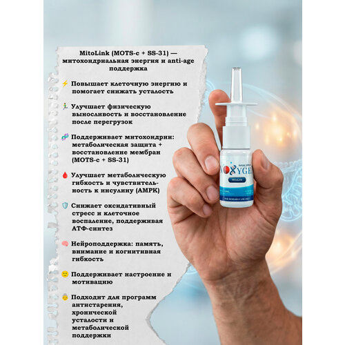 ������ ������ ������� ������� MitoLink (MOTS-c + SS-31) 40��/10�� ������������� ������ �������� ���� ���������������-������������ �������� ����