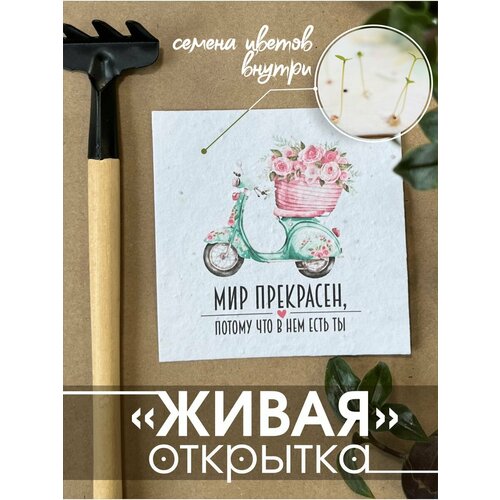 ������ ������ 