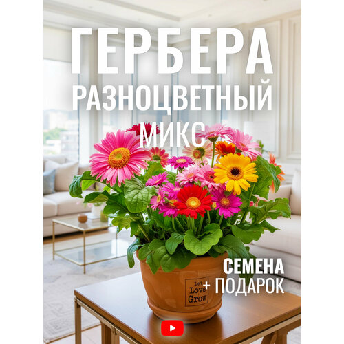 ������ ������ ������� ������������ ����, ������, 10 �� ����