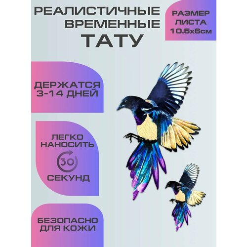 ������ ������ ���������� ����������, ���� ��������� ������ ����� ����
