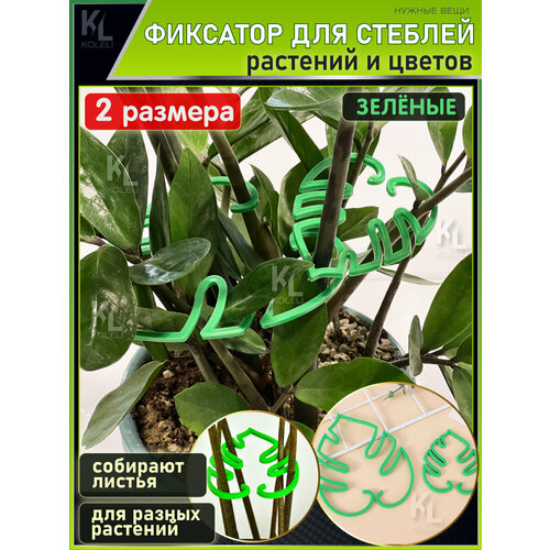 ������ ������ KoLeli / �������� ��� ����� ������� � �������, �������� �����, ������� ����