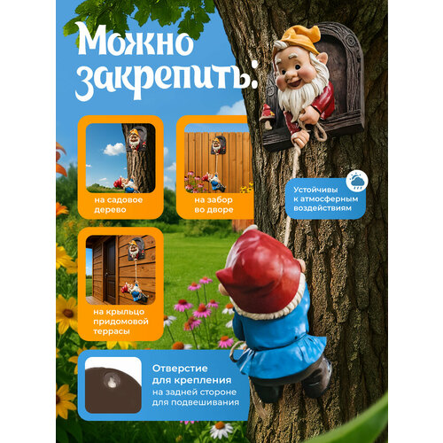 ������ ������ ������� ������� Maxmoll 