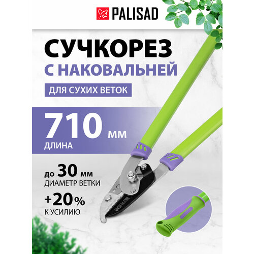 ������ ������ ��������  PALISAD 60520 710 ����