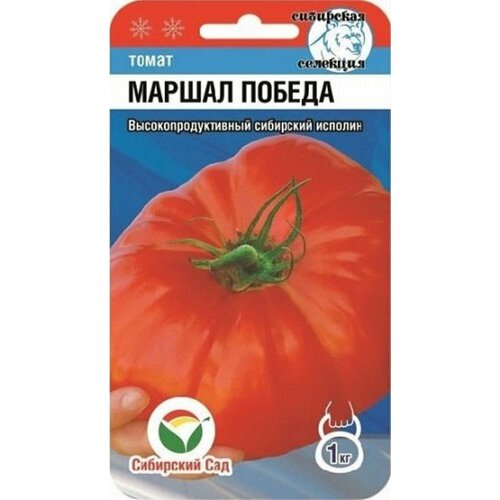 ������ ������ ������ ����� ������ ������ 20�� ����� (��������� ���) ����