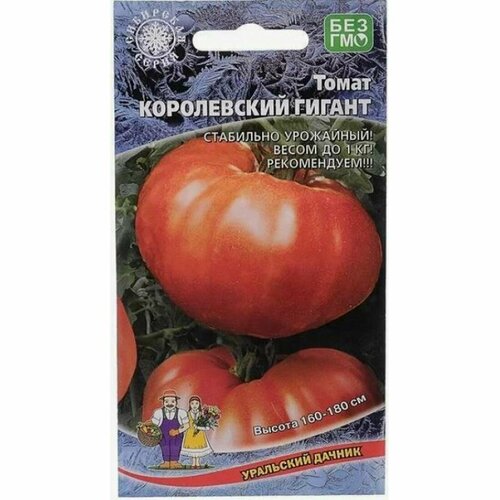 ������ ������ ������ ����� ����������� ������ (��������� ������) 20�� ����