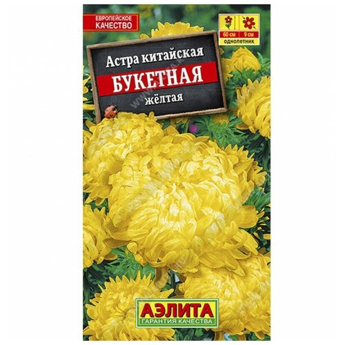 ������ ������ ����� �������� ������ ����