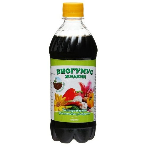 ������ ������ ��������� �������� ������ ����������, 0,5 � ����