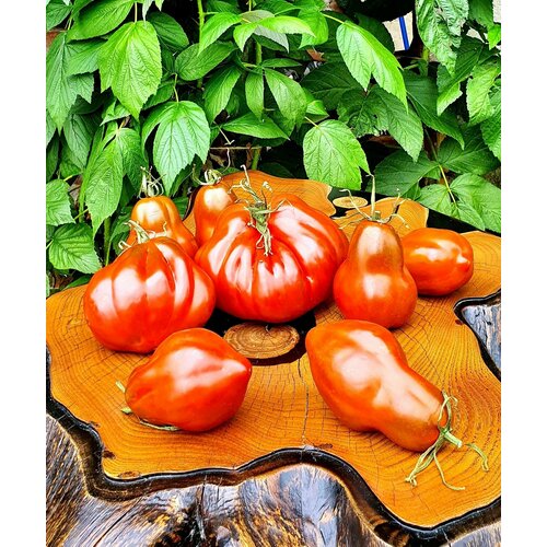 ������ ������ ������ ������ ������� (Snickers) / Seeds And Goods / � �������� zip-lock ��� ���������� 10 ����� ����