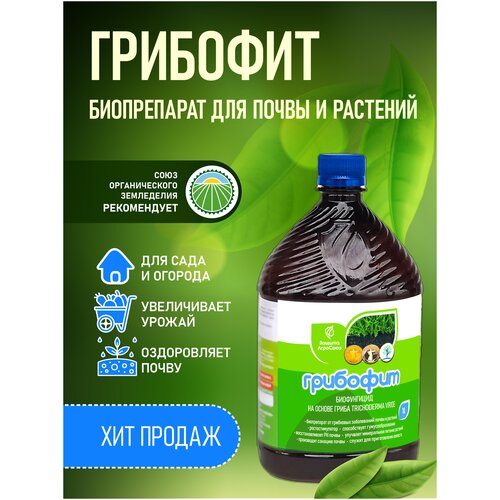 ������ ������ ����������� ���������� ������, Trichoderma viride �� ��������� �����������, ��������� 