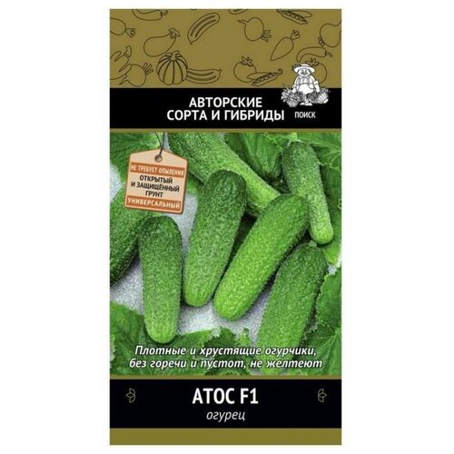 ������ ������ ������ ����� ������ ���� F1 12 ��. ����