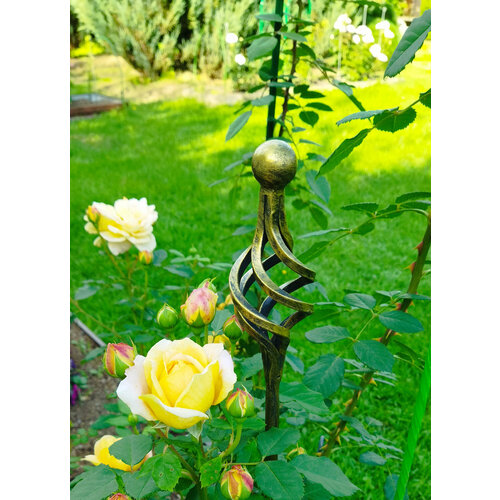 ������ ������ ������� ������� ������� 