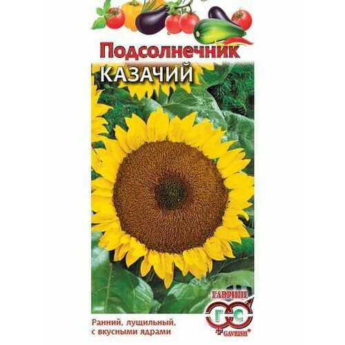 ������ ������ ������������ 