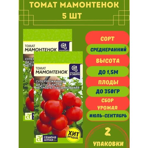 ������ ������ ����� ���������� 5 ����� 2 �������� ����