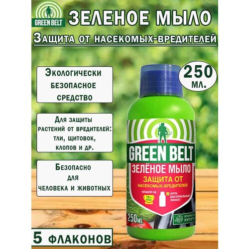 ������ ������ ������� ���� Green Belt, ��� ��������, ������ �� ���������, 250��, 5 �������� ����