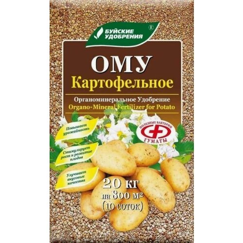 ������ ������ ��������� ��� 