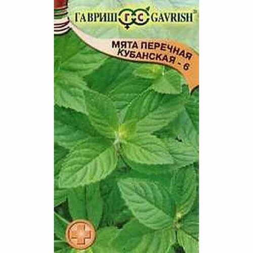 ������ ������ ������ ���� ��������� 6 �������� (������) 0,05� ����