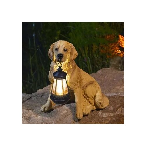 ������ ������ ������� ������� ����