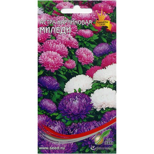 ������ ������ ����� ���������� ������ �����, 90 ����� ����