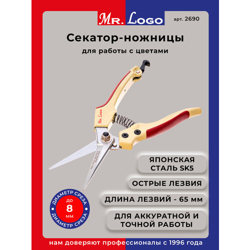 ������ ������ �������-������� ������� ��� ������ Mr.Logo ���. 2690 (�������� ��� �������� � �������) ����