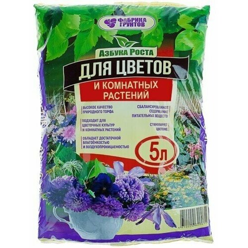 ������ ������ ����� ��� ������ 5 ������ ������ ����� ����