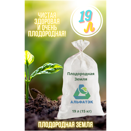 ������ ������ ����������� �����, Alfatek, 19 � (15 ��) ����