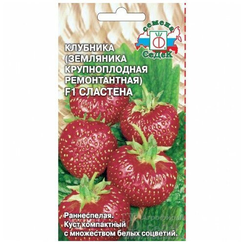 ������ ������ ������ �������� (��������� ������������� ������������) 