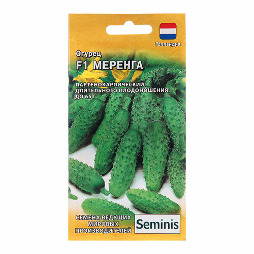 ������ ������ ������ ������ ������� F1 5�� ������������������ ������ (������) ����