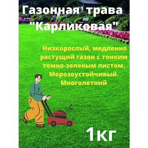 ������ ������ �������� ����� 