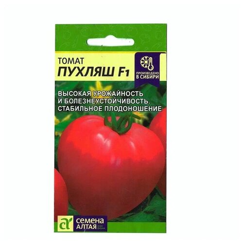 ������ ������ ������ ����� ������ F1, 1 �������� 5 �� ����� ����