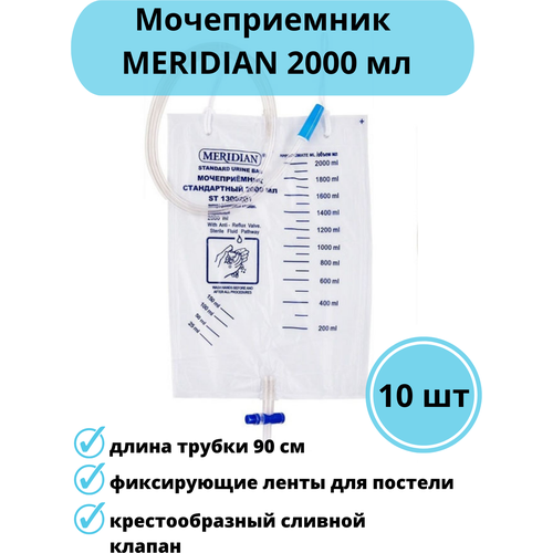 ������ ������ ������������ 2000�� ������������ ����������� Meridian ST1300201, 10 �� ����