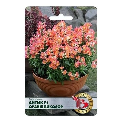 ������ ������ ���������� ����� F1 ����� ������� , ����� 20 �� ����