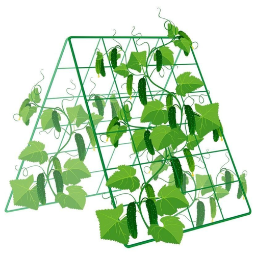 ������ ������ ������� ������������� ��������� ��� ��������� ������ 80�120�� ����