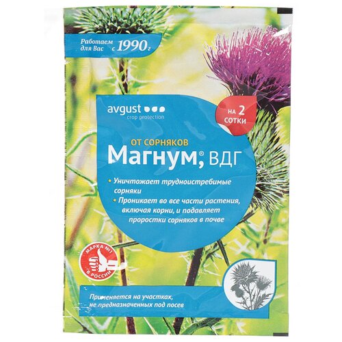 ������ ������ Avgust �������� �� ���������� �������� ������, ���, 4 ��, 4 � ����