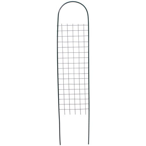 ������ ������ ������� 