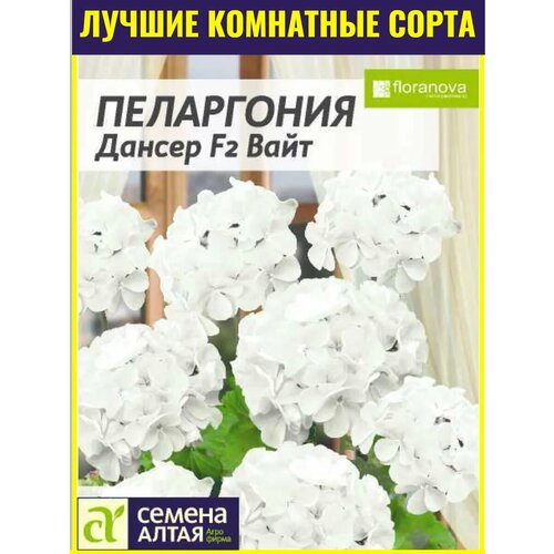 ������ ������ ������ ��������� ���������� ������ F2 ���� - 4 ��. ����������� ��������� ������ ����