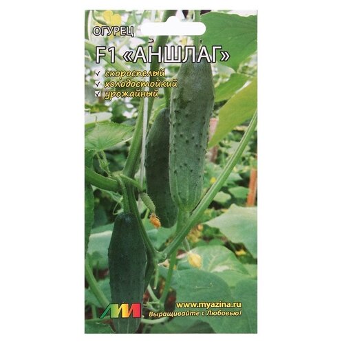 ������ ������ ������ ������ �.�. ������ ������ F1 8 �� ����