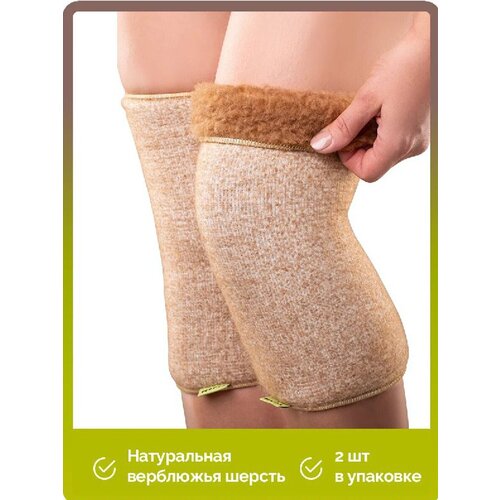 ������ ������ ���������� ����� �� ����������� ���������� ������ M (2 ��.) ����