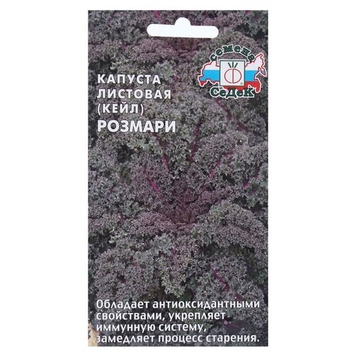 ������ ������ ������ ����� ������� ������� �������� F1 0.3 � ����