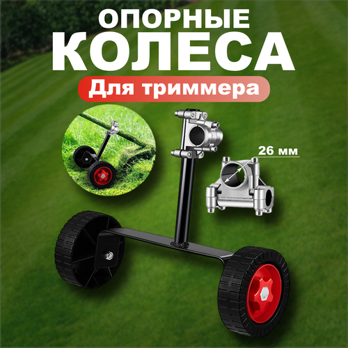 ������ ������ ������� ������ ��� �������� ��� ����� FOLISO ����