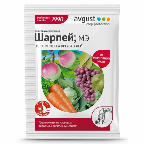 ������ ������ ���������� AVGUST 