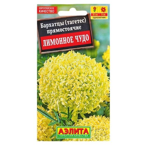 ������ ������ ������ ��������� ������ �������� �������� ���� ������������ 0.1 � ����