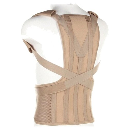 ������ ������ ��������� ������ ORTO �� 110, ������ M1, ���� 160-170, ������� ����