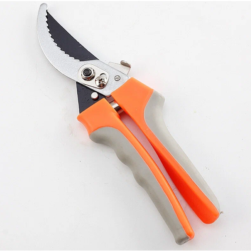 ������ ������ ������� ������, �������������, �������. �����. ����