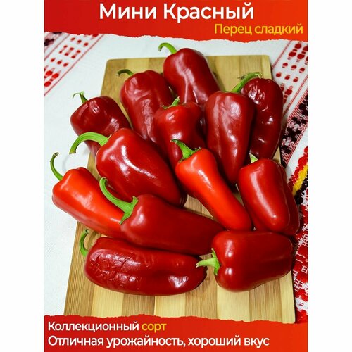 ������ ������ ������ �������� ����� ���� ������� - ������������� ���� ����