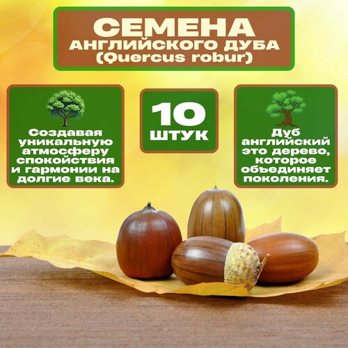 ������ ������ ������ ���� �����������, 10 ��. ������ �������, ���������� � ���������. ��� ���� �� ����� ���������� ��������. �� ����� ������������ � ������ ������������� ��������, ��������� ������, ������ � �����. ����