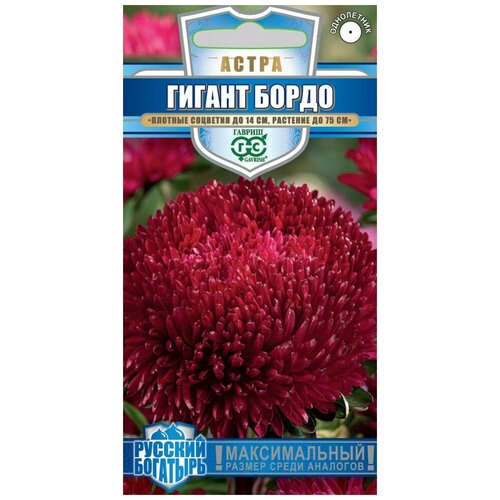 ������ ������ ������ ����� ������ �����, ���������-����������, 0,05�, ������, ������� ��������, 10 �������� ����